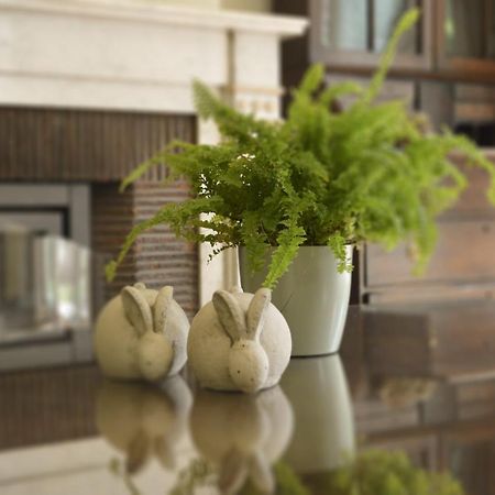 De Gelaarsde Kat Bed and Breakfast Υπρ Εξωτερικό φωτογραφία